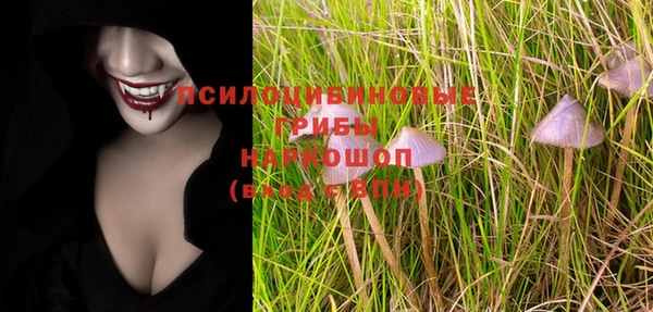 дурь Алексеевка
