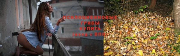 дурь Алексеевка