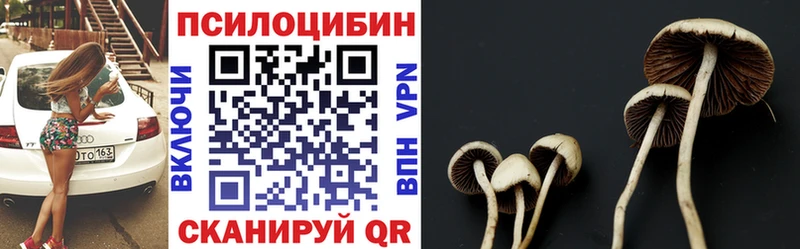 Псилоцибиновые грибы Cubensis Гаврилов Посад